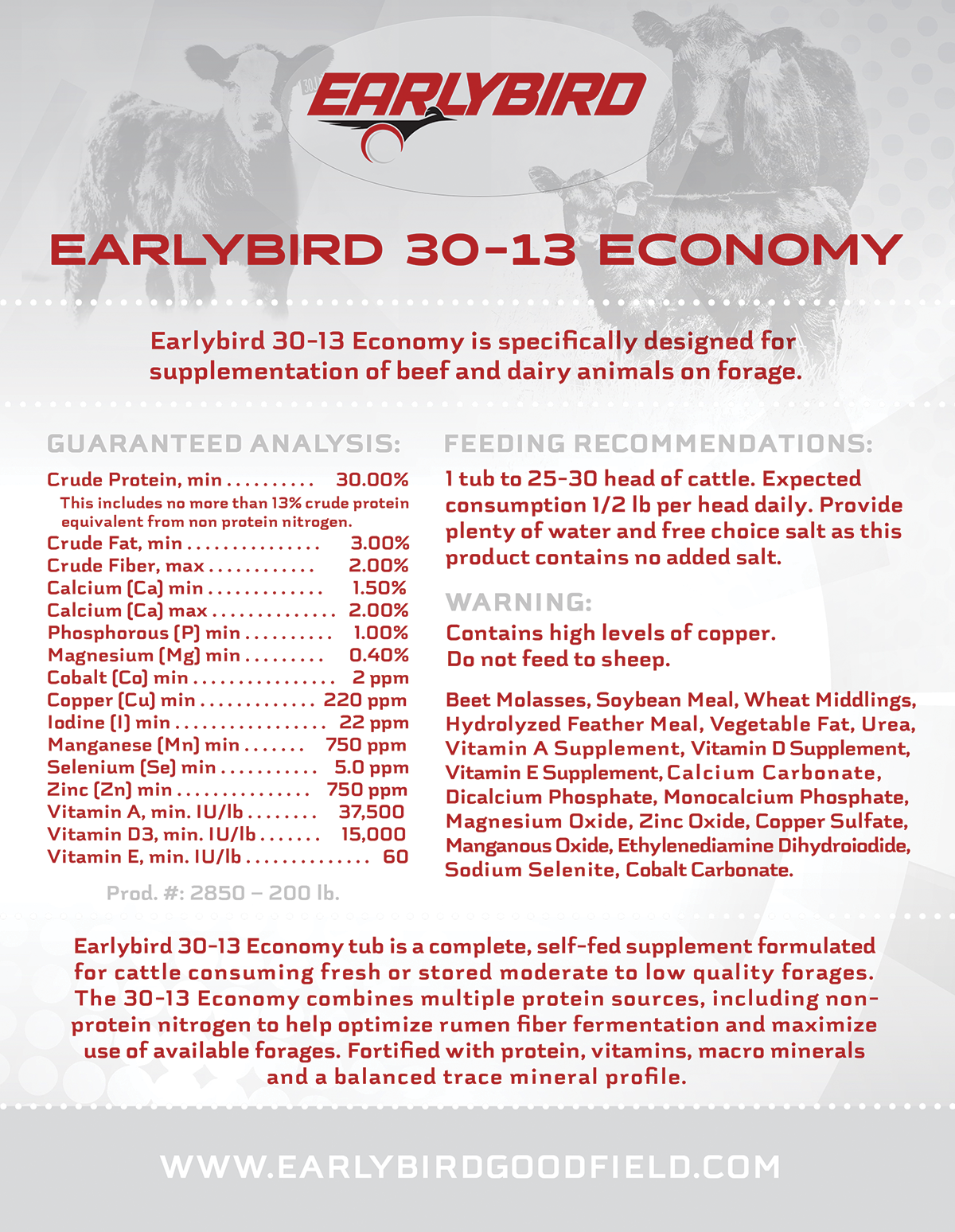 EARLYBIRD 30-13 ECONOMY
