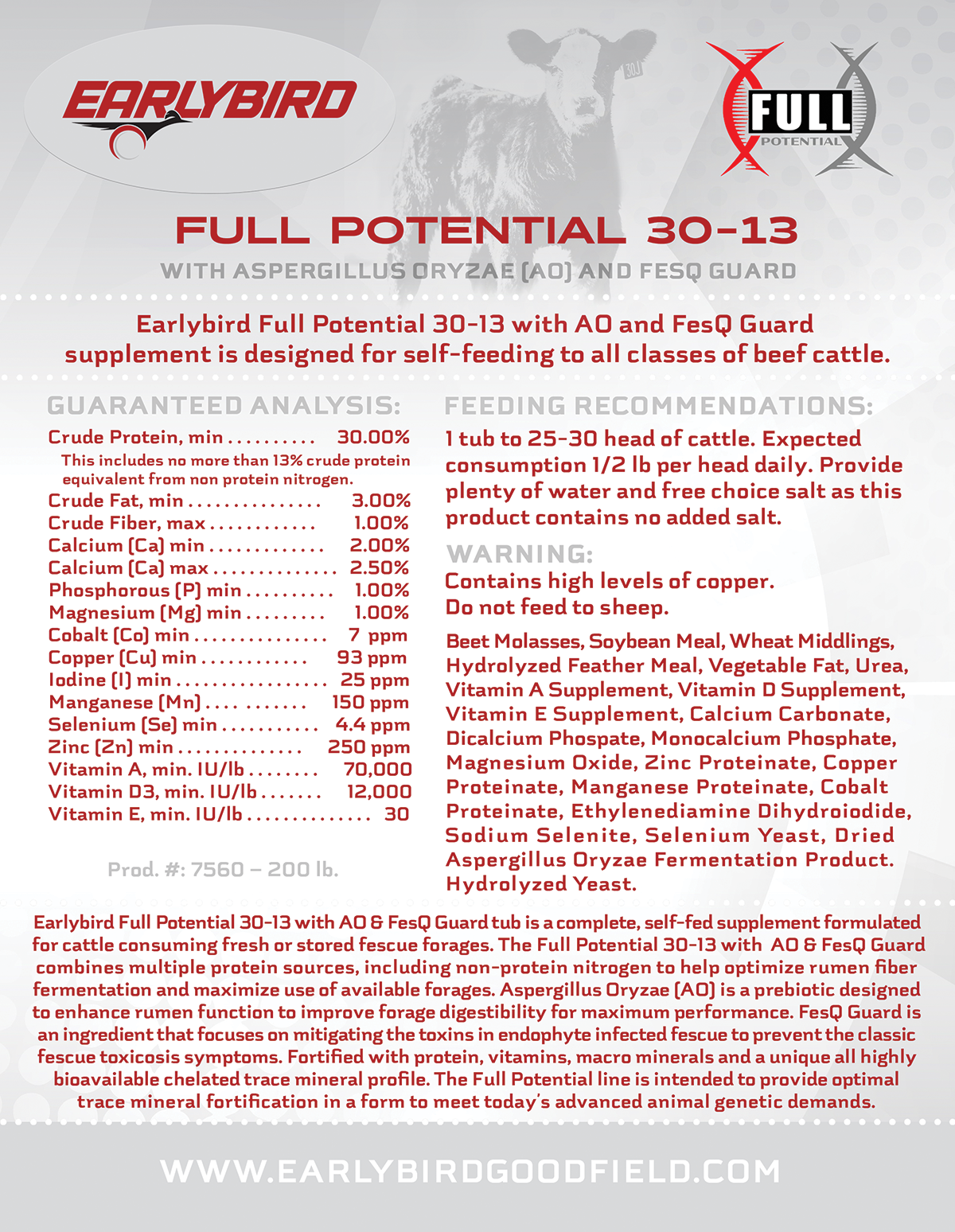 FULL POTENTIAL 30-13 With AO and FesQ Gaurd
