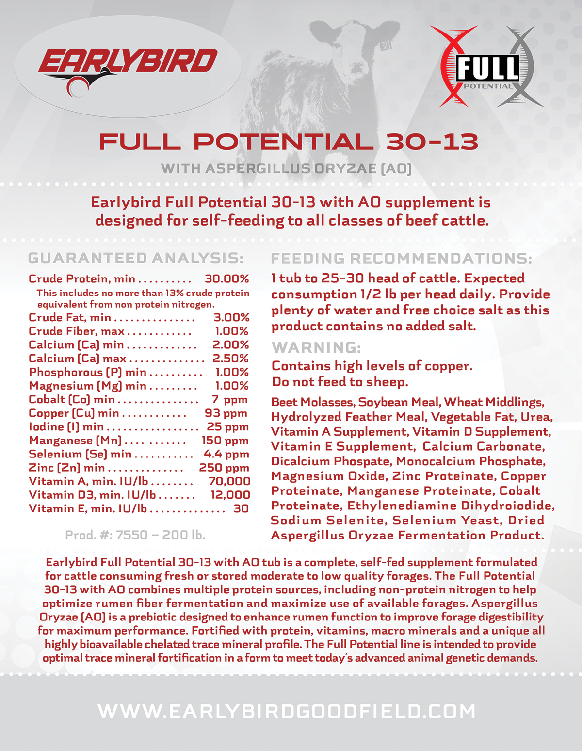 FULL POTENTIAL 30-13 with AO