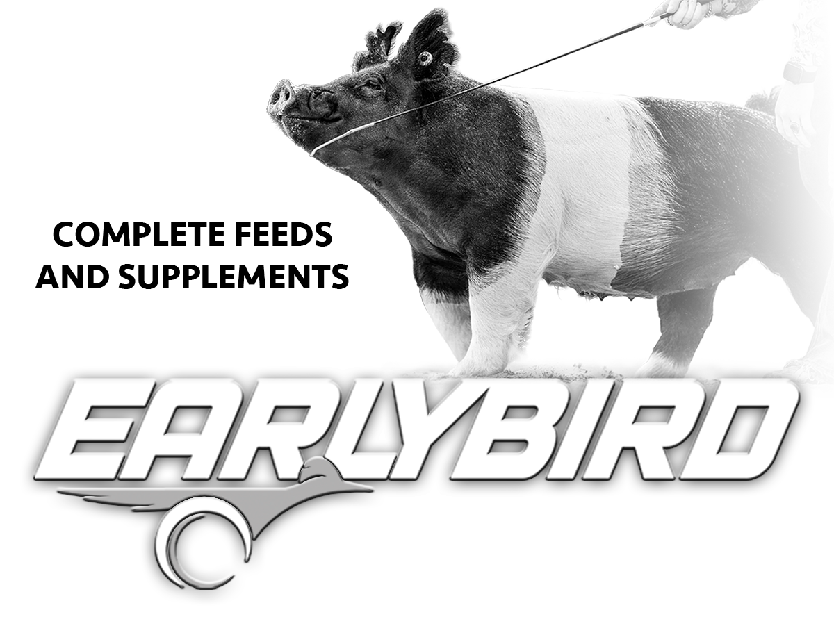 Earlybird Complete Feeds and Supplements