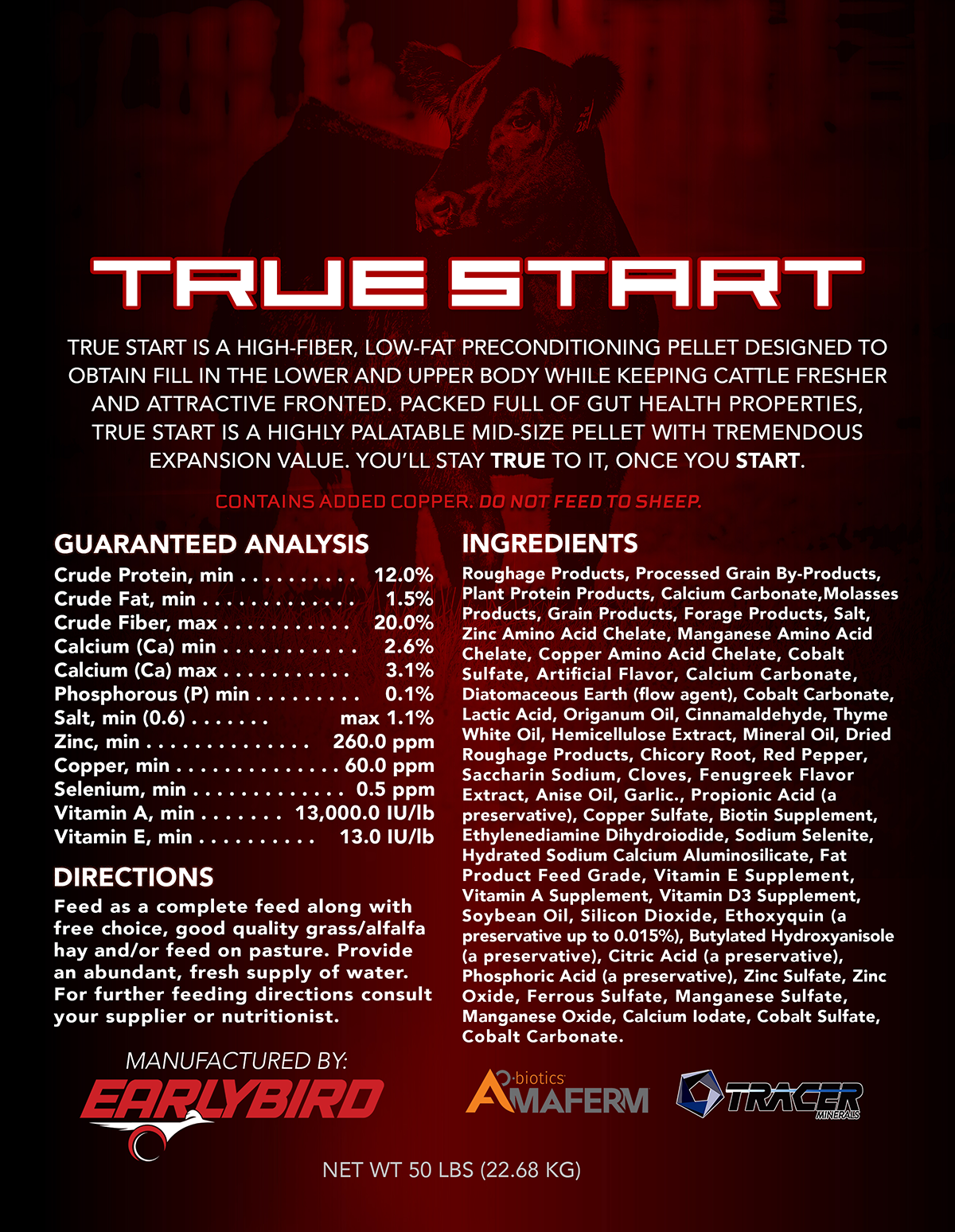 EB TRUE START